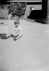 Di 1959