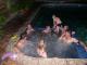 Pool at Brighton
